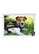 ORIGINAL POSTCARD Famous DOG PATRON Minesweeper dog War Ukraine 2022 picture
