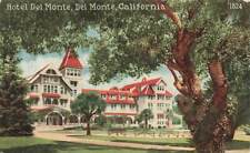 Hotel Del Monte Monterey Antique DB  CA VTG  P86 picture