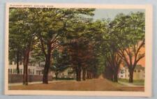 Pleasant Street, Ashland, ME Maine Postcard (#4387) picture