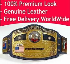 NWA DOMED GLOBE WORLD HEAVYWEIGHT CHAMPIONSHIP Title Belt picture