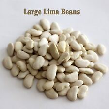 Grown Organic large lima beans  bulk 4 OZ- 10 lb  picture