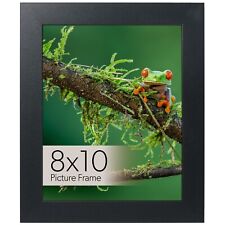 8x10 Black Frame, Glass, Picture-Wall Hanging or Tabletop, Dual Display Format picture