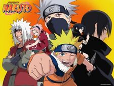 Naruto & Naruto Shippuden Complete Anime Series (Episodes 1-720 + 12 Movies) picture