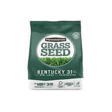Pennington Kentucky 31 Tall Fescue Penkoted Grass Seed 3 Lb Green picture