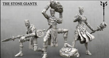 3 Stone Giant Warriors 85 mm Tall Resin 3D Printed Miniatures D&D RPG picture