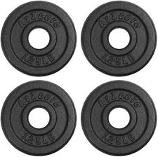 A2ZCARE Standard Cast Iron Weight Plates 1-Inch Center-Hole for Dumbbell picture