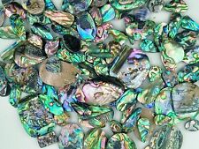 Natural Abalone Shell Piece Wholesale Lot Abalone shell For jewelry making 72418 picture