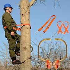 2-Gears Adjustable Tree Climbing Spike Set Pole Climbing Spike With Safety Belt picture