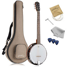 6-String Banjo - Full Size with Closed Back, Mahogany Resonator picture