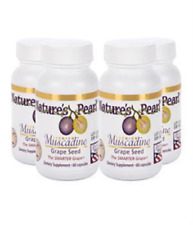 Premium Muscadine Grape Seed 4 Ct by Youngevity Dr. Wallach picture