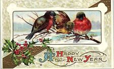 c1910 HAPPY NEW YEAR BIRDS ROBINS SNOW HOLLY GILDED EMBOSSED POSTCARD 42-317 picture