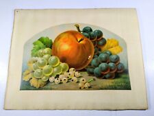 Antique Fruit Print, Probably 19th C. Lithograph - About 8x10