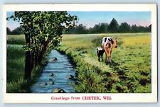 Chetek Wisconsin WI Postcard Greetings River And Cows Scenic View c1920s Antique picture
