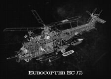 1/72 Eurocopter EC-725 CARACAL picture