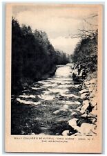 c1920 Billy Collyer Ohio Gorge Ohio Adirondacks New York NY Antique Postcard picture