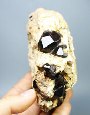Natural Beauty Rare Red Garnet Crystal Mineral Specimens / China 1.09 lb picture