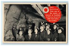1915 Old Company's Lehigh, Coaldale Pennsylvania PA Advertising Postcard picture