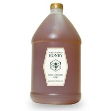 1 Gallon of 100% Raw, Unfiltered & Unheated Georgia Honey, New 2023 Crop picture
