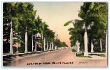 c1940 Scenic View Avenue Royal Palms Miami Florida Vintage Hand Colored Postcard picture