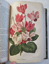 Horticulture Review 1878 French Journal 24 chromo color plates flowers & fruits picture