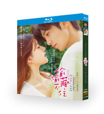2023 Chinese Drama Hidden Love BluRay/DVD All Region English Subs picture
