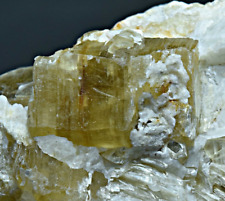 330g Natural Fluorescent Phlogopite Crystals, Hackmanite, Winchite On Matrix @AF picture