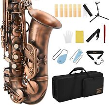 🎷 Eastar Alto Saxophone Brass E Flat Eb Sax + Case School Band | Refurbished picture