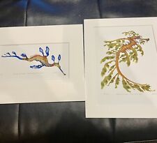 Two (2) Samara King Numbered Prints. Weedy And Leafy Seadragon 8x10 Matted picture
