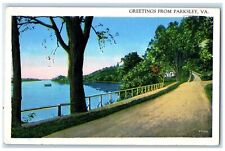 c1920 Scenic Road Street Lake Trees Greetings From Parksley Virginia VA Postcard picture