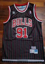 Dennis Rodman - Retro Vintage Chicago Bulls Jersey - Pinstripes NEW Replica picture