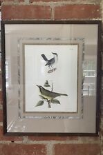 Antique Lithograph JW Hill Ornithology Bird Print 1844 Endicott NY Framed picture