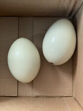 Lot of 2 Large Ostrich Egg Shells for Crafts, Decoration, Paintings and More picture