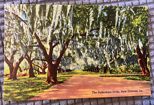 Vintage Postcard - The Pakenham Oaks, New Orleans, Louisiana - Cathedral of Oaks picture