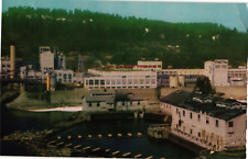 Paper Mill Crown Zellerbach in Oregon City Oregon Vintage Postcard picture
