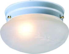 Hardware House Single Light Ceiling Fixture with White Finish and Frosted Glass picture