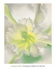 An Orchid, 1942 Georgia O'Keeffe Art Print Floral Flower 2017 MOMA Poster 26x32 picture