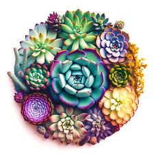 Diamond Painting Kits for Adults Mandala Succulent Plants DIY 5D Diamond Art ... picture