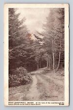 West Harpswell ME-Maine, Road At Spruce Woods, Shore Acres, Vintage Postcard picture