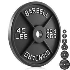 Cast Iron Olympic 2-inch Weight Plates, 2.5 - 45LB picture
