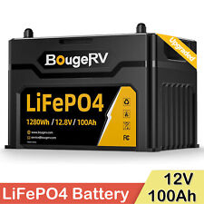 12V 100Ah LiFePO4 Lithium Battery 100A BMS for Solar RV Off-grid Trolling Motor picture