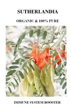 Sutherlandia frutescens - Organic Herb picture