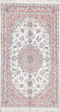 Floral Ivory Naiin Traditional Hand-Knotted Area Rug 4x7 Wool Carpet picture