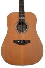 Takamine GD20 Acoustic Guitar - Natural Satin picture