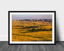 Buffalo photography print Badlands National Parks picture western wall art photo picture