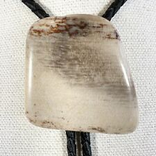 Stunning Vintage Stone Agate Fossil Western Bolo Tie ￼ picture