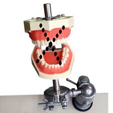 Dental Typodont Mounting Pole Fit Kilgore, used with ModuPRO Endo/Pros picture