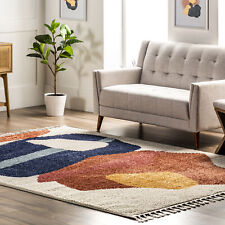 nuLOOM Ashton Shaggy Contemporary Abstract Tassel Area Rug in Beige picture