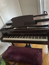 60+ Years Old Steck Piano picture