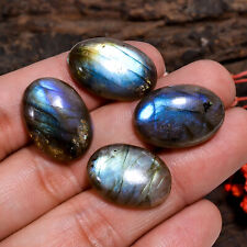 61.50 Cts. Natural Incredible Labradorite Oval 20X14 22X14 MM 4 Pcs Cab Gemstone picture