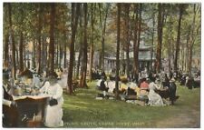 Cedar Point Ohio OH Picnic Grove Gathering 1911 picture